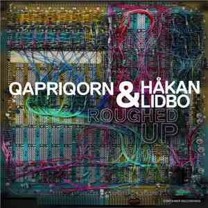 Qapriqorn & Håkan Lidbo - Roughed Up flac album