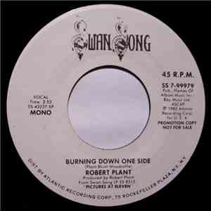 Robert Plant - Burning Down One Side flac album