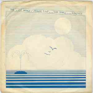 Sam Small - The Last Whale / Orange Tint flac album