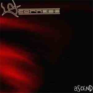 Scornage - Ascend flac album