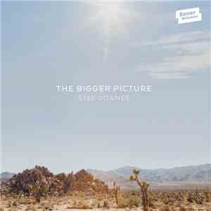Stee Downes - The Bigger Picture flac album