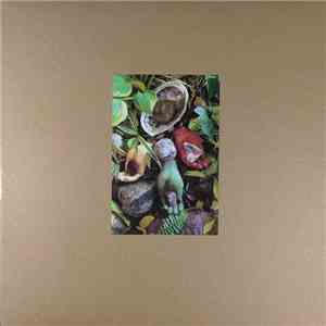 Swimming In Bengal - Garden of Idle Hands flac album