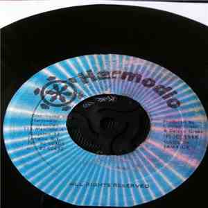 Terrific - Dibby Dibby Girl flac album