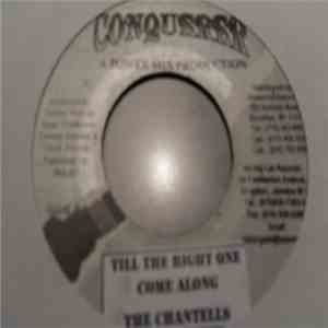 The Chantells - Till The Right One Come Along flac album