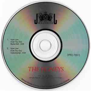 The Honeys  - How Low (Can You Go) flac album