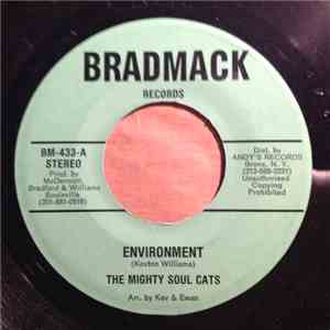The Mighty Soul Cats / The Quarter Notes  - Environment / I'ghts, Green & Gold Dub flac album