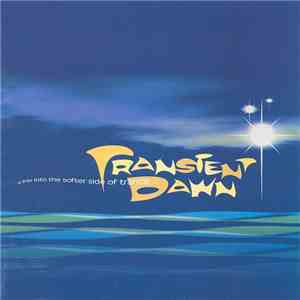 Various - Transient Dawn flac album