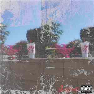 Yung Skrrt - C.F.A. flac album