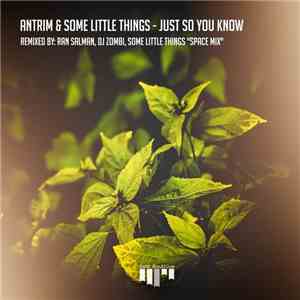Antrim & Some Little Things - Just So You Know flac album
