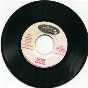 Beenie Man - Big Life flac album