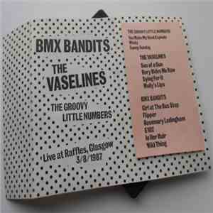 BMX Bandits + The Vaselines + The Groovy Little Numbers - Live At Raffles, Glasgow 3/8/1987 flac album