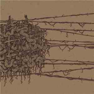 Dreare - Blank And Forward flac album
