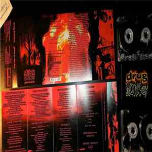 Drug Honkey - Ghost in the Fire flac album