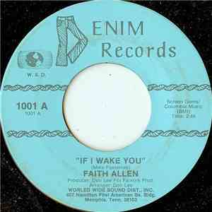 Faith Allen - If I Wake You flac album