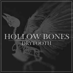 Hollow Bones  - Drytooth flac album