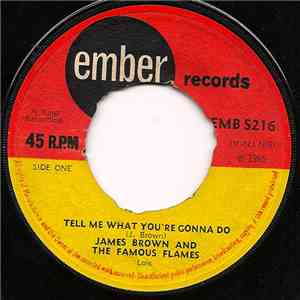 James Brown & The Famous Flames - Tell Me What You're Gonna Do / Lost Someone flac album