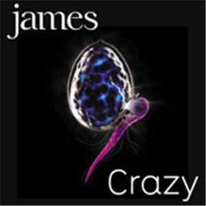 James - Crazy flac album
