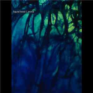 Liquid Level - Mind flac album