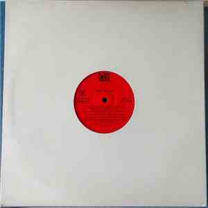 Lisa Taylor - Did You Pray Today? flac album