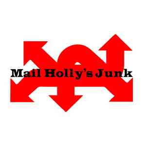 Mail Holly's Junk - ...Divided We Fall flac album