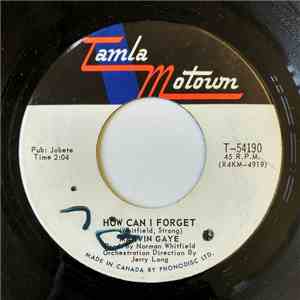 Marvin Gaye - How Can I Forget / Gonna Give Her All The Love I've Got flac album