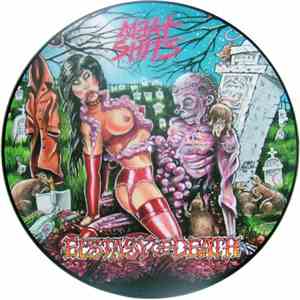 Meat Shits - Ecstasy Of Death flac album