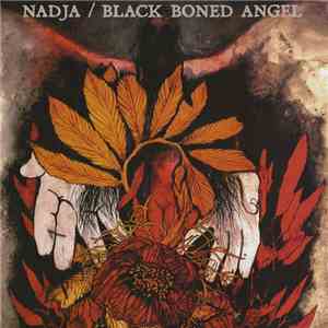 Nadja  / Black Boned Angel - Nadja / Black Boned Angel flac album