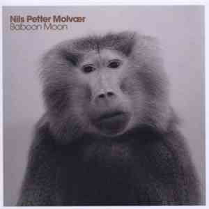 Nils Petter Molvær - Baboon Moon flac album