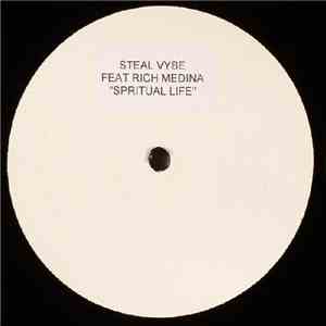 Steal Vybe Feat. Rich Medina - Spiritual Life flac album