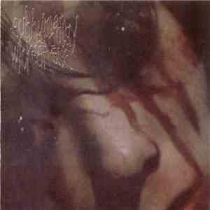 Subhuman Prodigy Of Wickedness - Beaten Postmortem... flac album