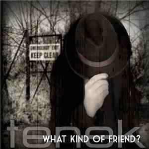 Tenek - What Kind Of Friend? flac album