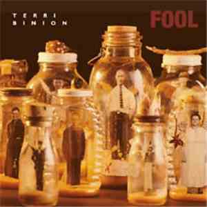 Terri Binion - Fool flac album