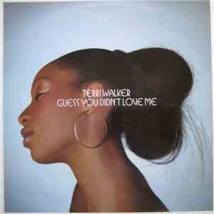 Terri Walker - Guess You Didn't Love Me flac album