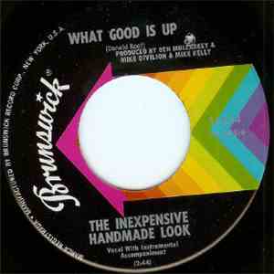 The Inexpensive Handmade Look - Ice Cream Man / What Good Is Up flac album