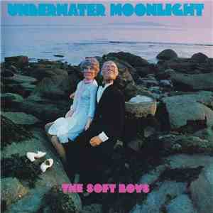The Soft Boys - Underwater Moonlight flac album