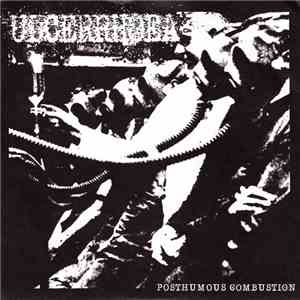 Ulcerrhoea - Posthumous Combustion flac album