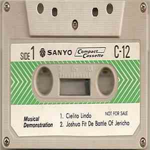 Unknown Artist - Musical Demonstration flac album