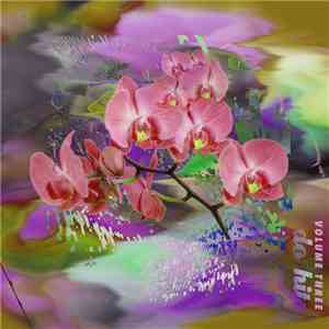 Various - Do Hits Vol​.​3 flac album