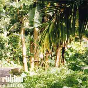 Various - Riddim CD #15 flac album