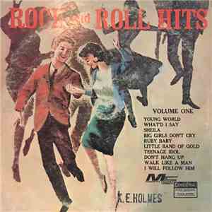Various - Rock And Roll Hits flac album