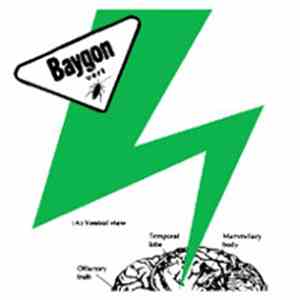 Baygon Vert - Baygon Vert flac album