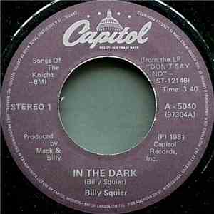 Billy Squier - In The Dark flac album