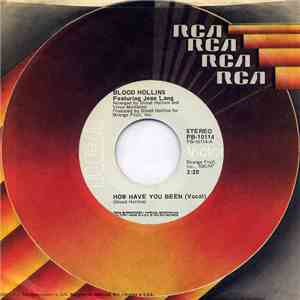 Blood Hollins Featuring Jean Lang - How Have You Been flac album