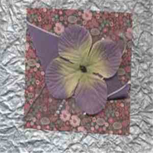 Cabinet Of Natural Curiosities - Vineland flac album