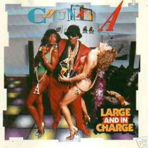 Chunky A - Large And In Charge flac album