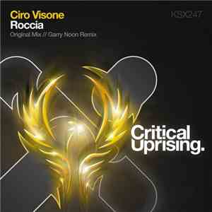 Ciro Visone - Roccia flac album