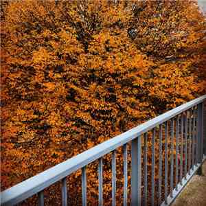 Cobby & Litten - Boothferry flac album