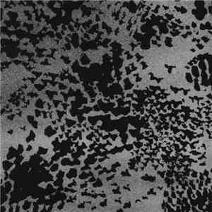 Dadamah - Violet Stains Red / Absent And Erotic Lives flac album