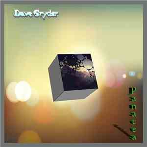 Dave Gryder - Panacea flac album