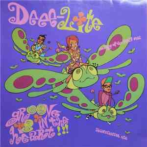 Deee-Lite - Groove Is In The Heart flac album